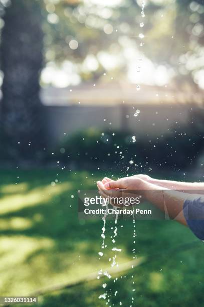 cropped shot of an unrecognizable woman standing alone in her garden and holding her hands out to catch water drops - water globe stock pictures, royalty-free photos & images