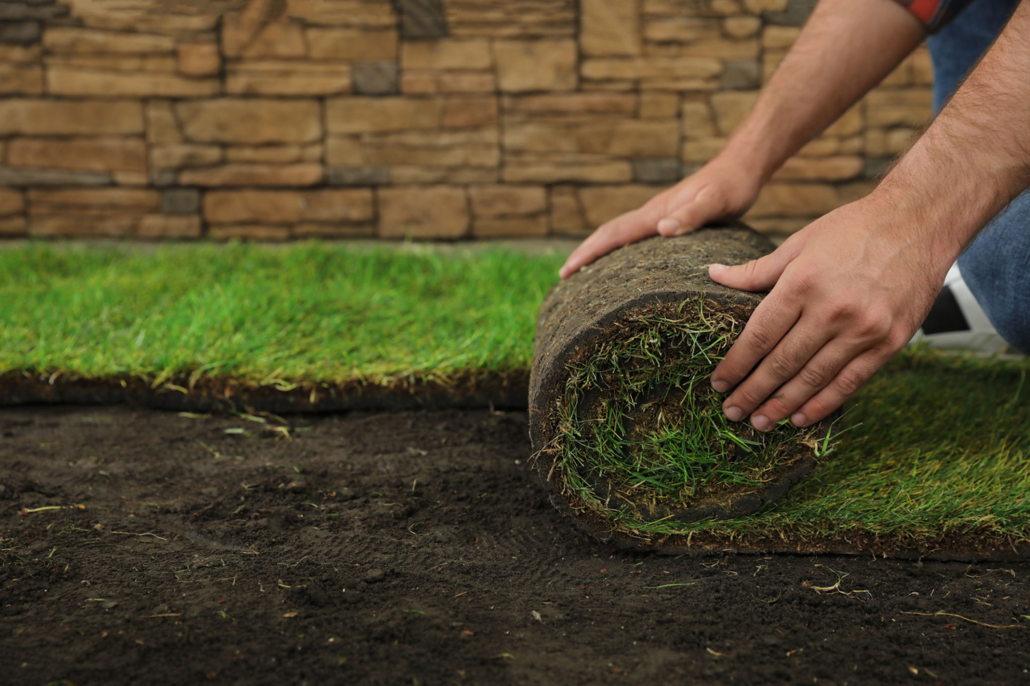 laying sod