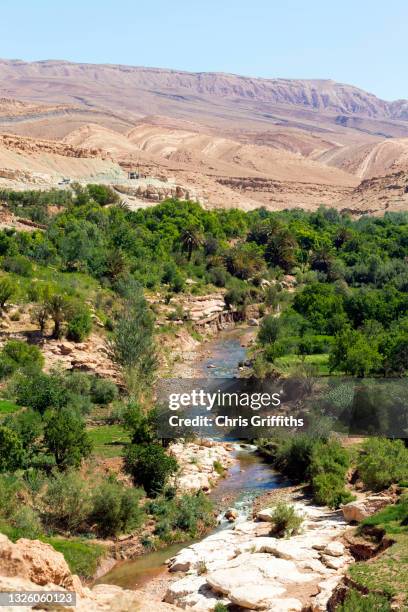 ounila valley, southern morocco - high atlas morocco stock pictures, royalty-free photos & images