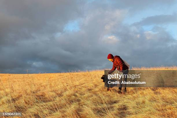 senior woman walking the dog in winter - golden hour woman stock pictures, royalty-free photos & images