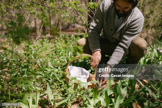 Chefs Foraging Foraging Chef Photos and Premium High Res Pictures - Getty Images