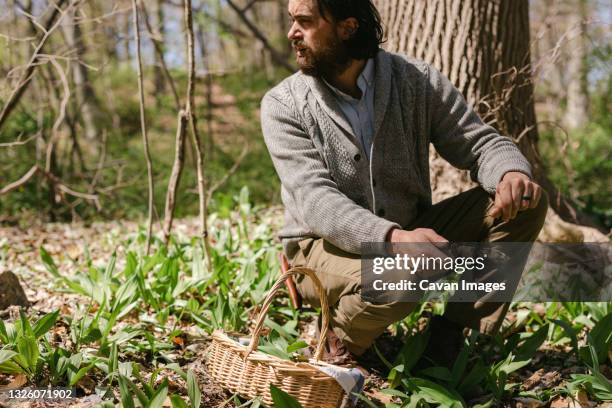 Chefs Foraging Foraging Chef Photos and Premium High Res Pictures - Getty Images