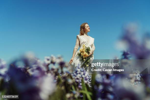 portrait of woman standing on hyacinth fields and holding tulips - amsterdam blue sky stock-fotos und bilder