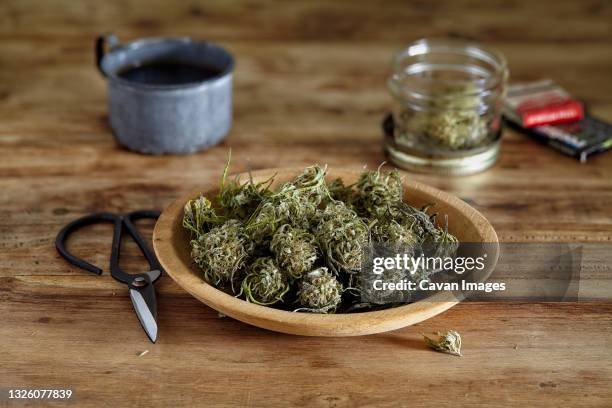 vintage looking still life of untrimmed cannabis in bowl with scissors - fines herbes stock-fotos und bilder