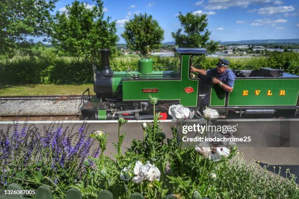 the evesham vale light narrow gauge railway at evesham country park. - history and progress of the steam engine stock pictures, royalty-free photos & images