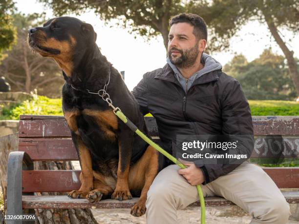 man sitting on a park bench next to his rottweiler dog - guard dog stock pictures, royalty-free photos & images