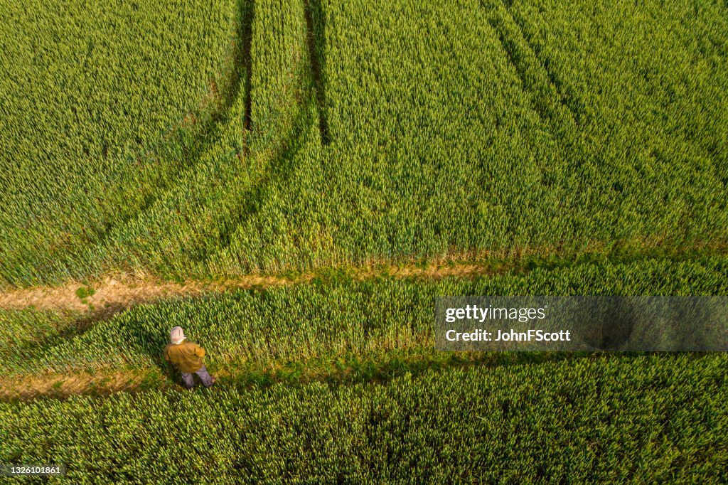 High angle view of a senior man standing in a field