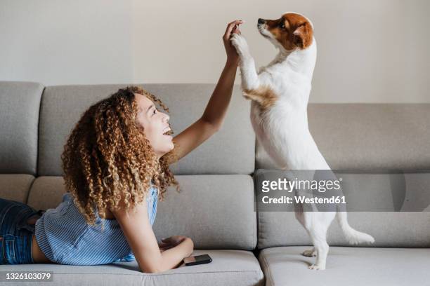 curly haired woman playing with dog on sofa at home - rearing up stockfoto's en -beelden