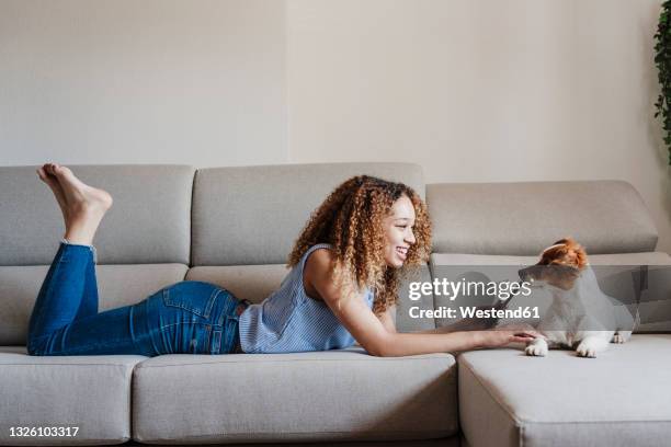 curly haired woman stroking jack russell terrier while lying on sofa in living room - lying on front stock pictures, royalty-free photos & images