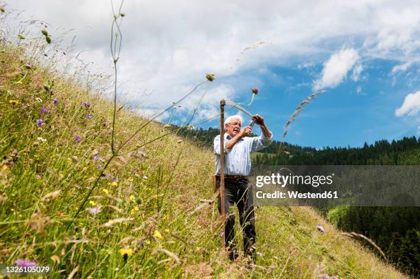 senior farmer with scythe standing on steep hill at salzburg state, austria - gras sense stock-fotos und bilder