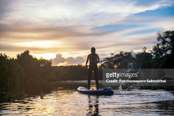 woman on sup board - paddleboarding stock pictures, royalty-free photos & images