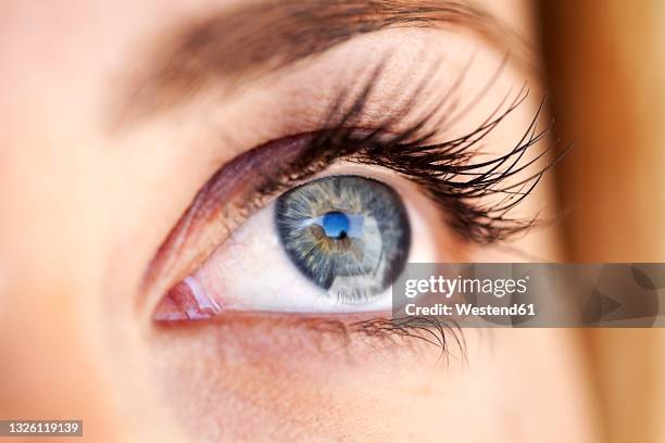 young woman with gray eye looking away - sense organ stock pictures, royalty-free photos & images