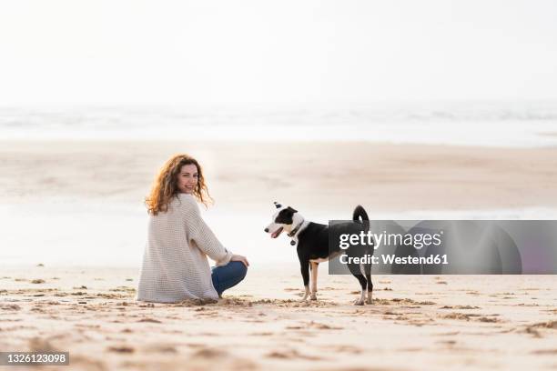 woman looking over shoulder by dog while sitting on sand at beach during vacations - dog looking over shoulder stock pictures, royalty-free photos & images