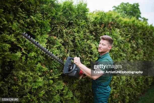 gärtner trimmen hecke mit motorsäge. - gartenbau betrieb stock-fotos und bilder