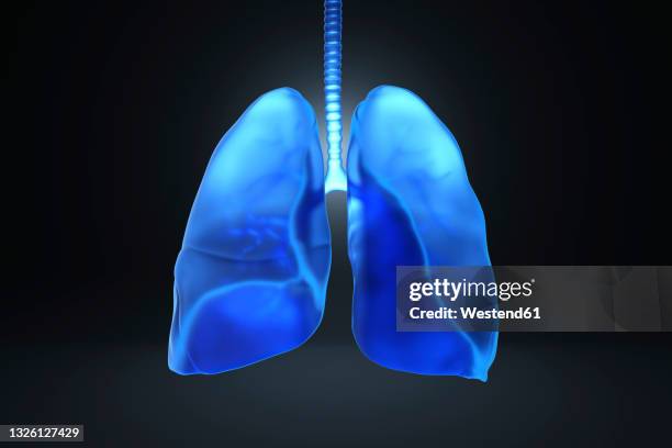 ilustraciones, imágenes clip art, dibujos animados e iconos de stock de illustration of blue human lungs over black background - human lung