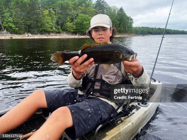 schöner fang - bass fishing stock-fotos und bilder