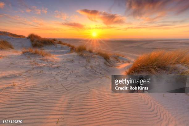 sunset in the dunes of texel, the netherlands - olanda settentrionale foto e immagini stock