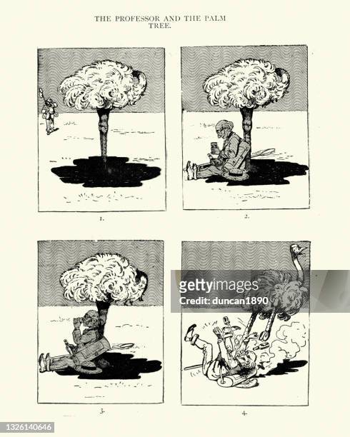 ilustrações, clipart, desenhos animados e ícones de desenho animado vitoriano, professor e a palmeira, avestruz, humor do século 19 - avestruz