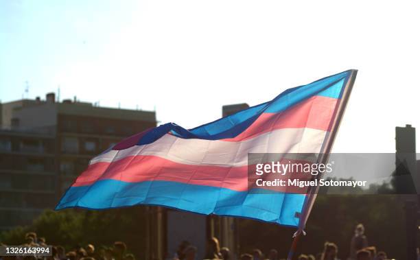 transgender flag - trana stock-fotos und bilder
