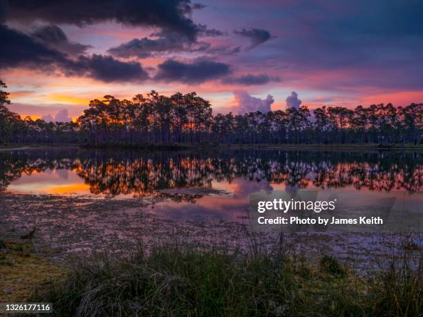 Florida. View Beautiful Florida Landscape Photos and Premium High Res Pictures ...