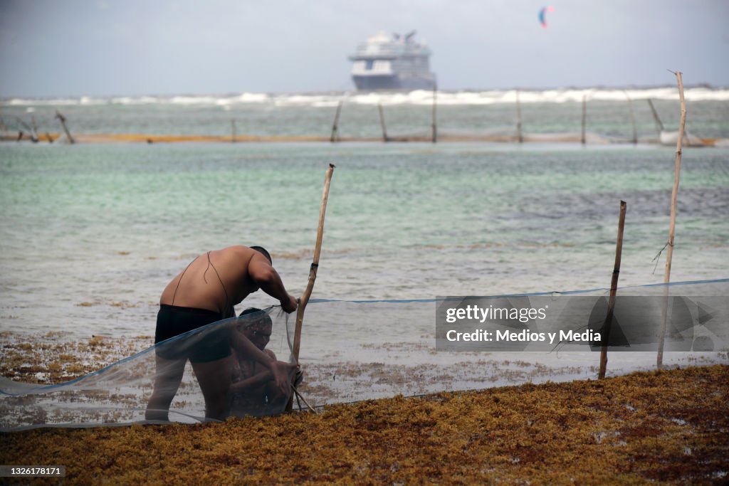 Sargassum Hits Beaches in Mahahual