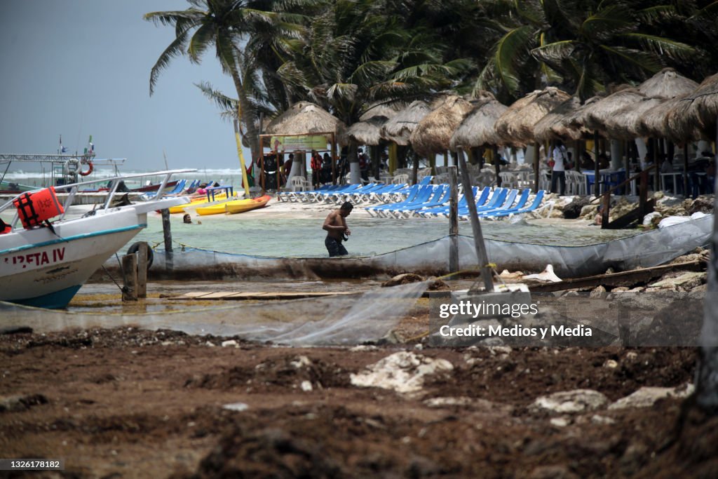 Sargassum Hits Beaches in Mahahual