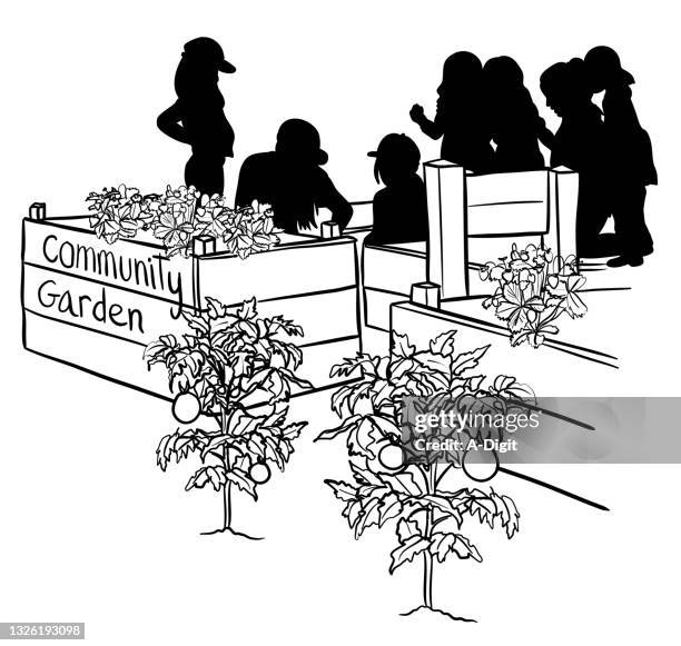 ilustrações de stock, clip art, desenhos animados e ícones de school garden - horta