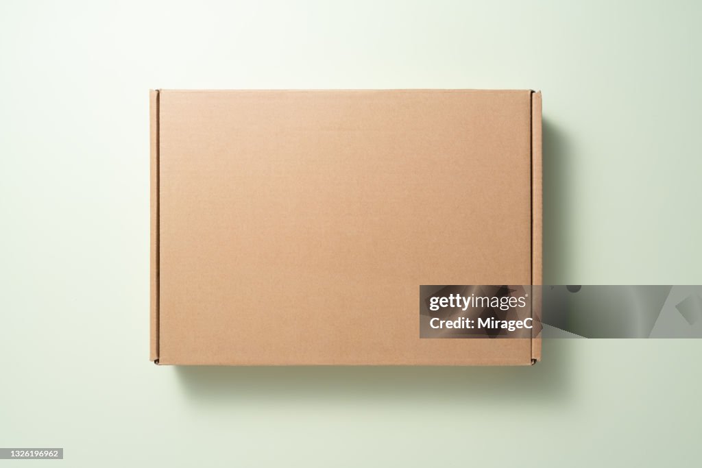 Closed Blank Cardboard Box on Green