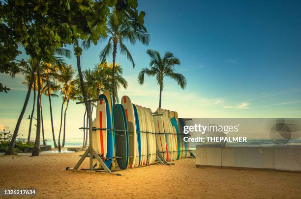 surfboards for rent in a hawaiian beach - waikiki beach stock pictures, royalty-free photos & images