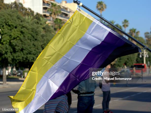 gender flag non-binary - 非二元性別 個照片及圖片檔