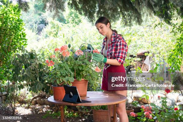 woman watering plants and flowers outdoors - watering pot stock pictures, royalty-free photos & images