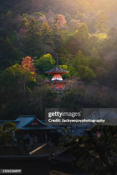 red torii at miyajima island - 厳島神社 ストックフォトと画像