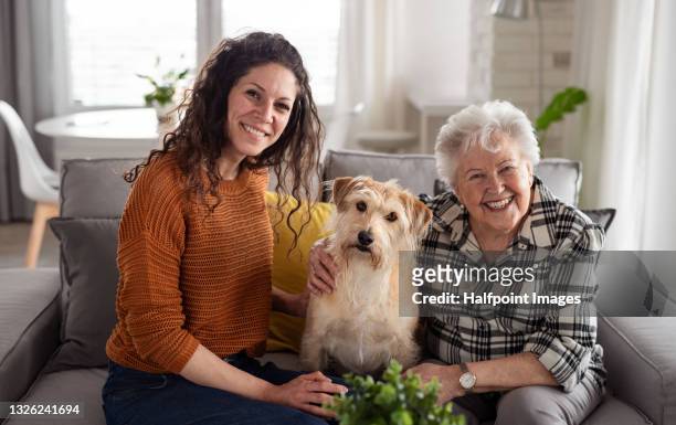 happy senior woman with granddaughter and dog indoors at home, looking at camera. - chubby granny stock pictures, royalty-free photos & images