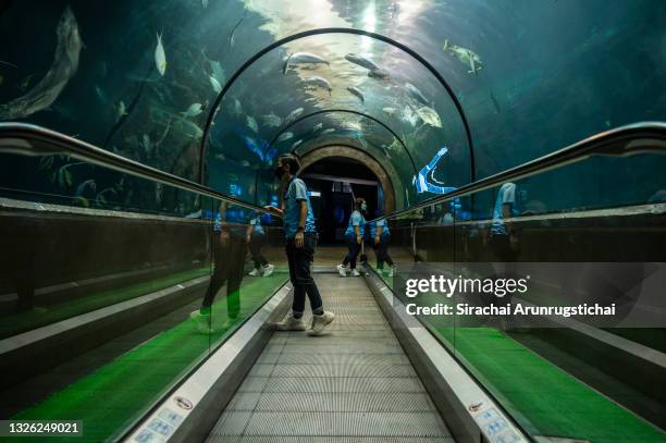 Aquarium staffs check up on marine life from inside the aquarium tunnel at Phuket Aquarium on June 30, 2021 in Phuket, Thailand. As Phuket prepares...