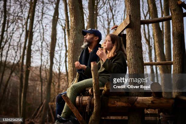 father and daughter sitting on wooden structure in forest - tree house stock pictures, royalty-free photos & images