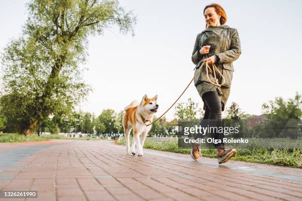 woman run with her akita inu in the public park along a lake early in the morning - dog walker 個照片及圖片檔