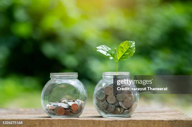 Copper Coin Tree Copper Leaf Photos and Premium High Res Pictures - Getty Images