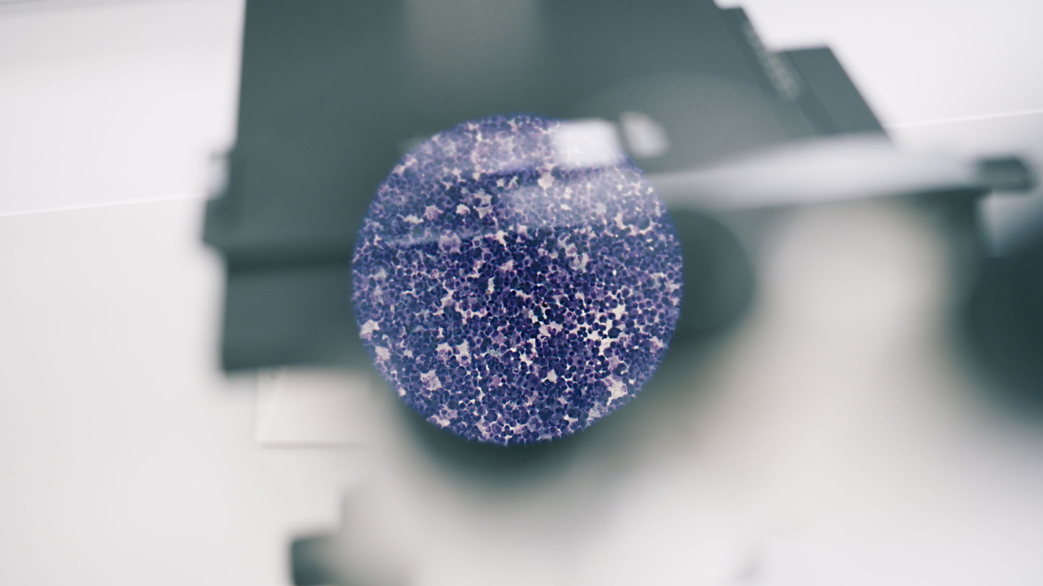 microscope cell study