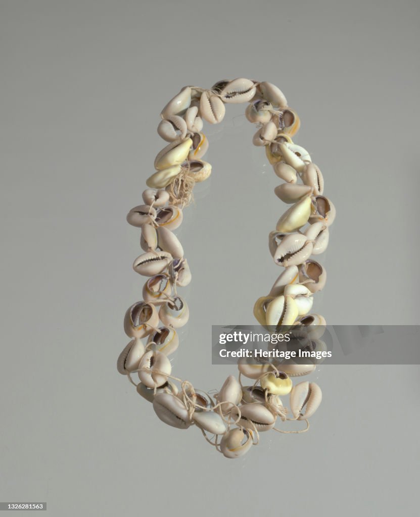 Stringed Shells A string of cowrie shells. There are sixty tan and yellow colored ...