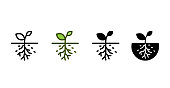 root icon , vector illustration