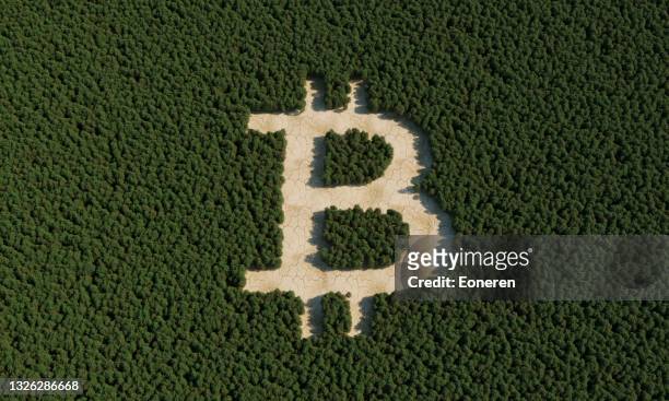 bitcoin sign in forest - bitcoin stock pictures, royalty-free photos & images