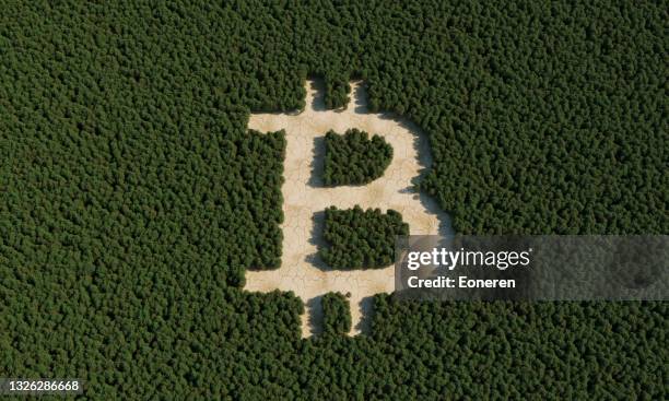 sinal de bitcoin na floresta - mining natural resources - fotografias e filmes do acervo