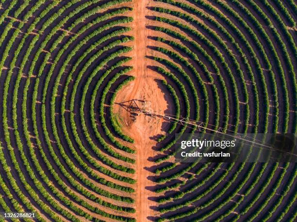 irrigation equipment at a coffee plantation - brazil aerial stock pictures, royalty-free photos & images
