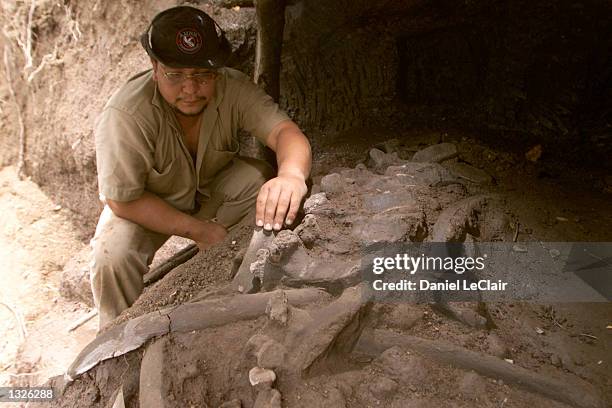 Daniel Aguilar, lead paleontologist on the Tomayate River project, counts the vertebrae on the remains of a giant sloth, June 25, 2001 at a dig site...