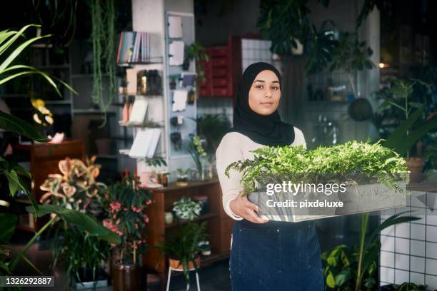shot of an attractive young botanist standing alone in her shop and holding a tray of plants - headscarf stock pictures, royalty-free photos & images