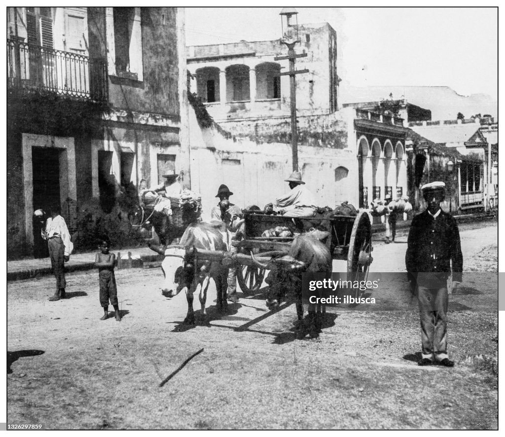 Antique black and white photograph: coconut vendor, Mayaguez, Puerto Rico