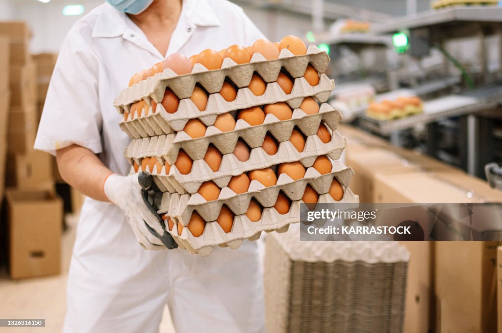 Woman working in egg factory