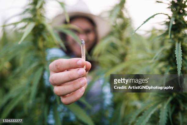woman passing splif - cannabis plant 個照片及圖片檔