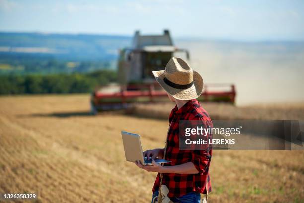 teenager in a wheat field - young agronomist stock pictures, royalty-free photos & images