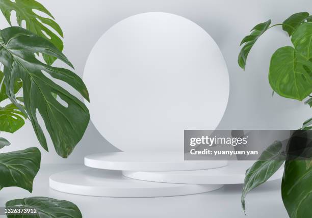 3d rendering product background - leaf white background stock pictures, royalty-free photos & images
